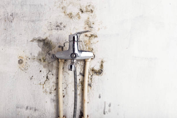 Best Mold Remediation  in Huron, SD