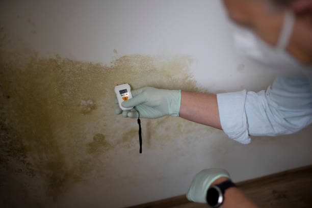 Best Attic Mold Removal  in Huron, SD