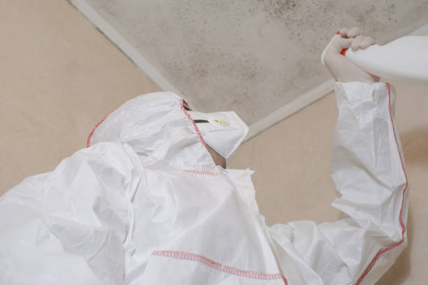 Best Mold Damage Repair  in Huron, SD